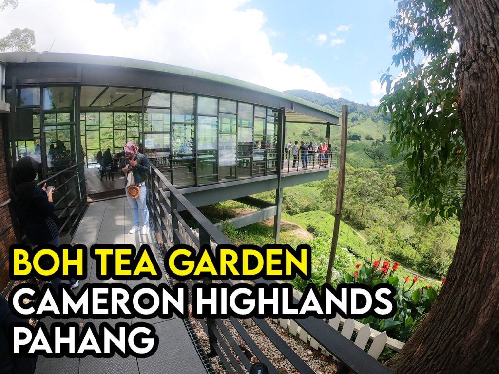 boh tea garden