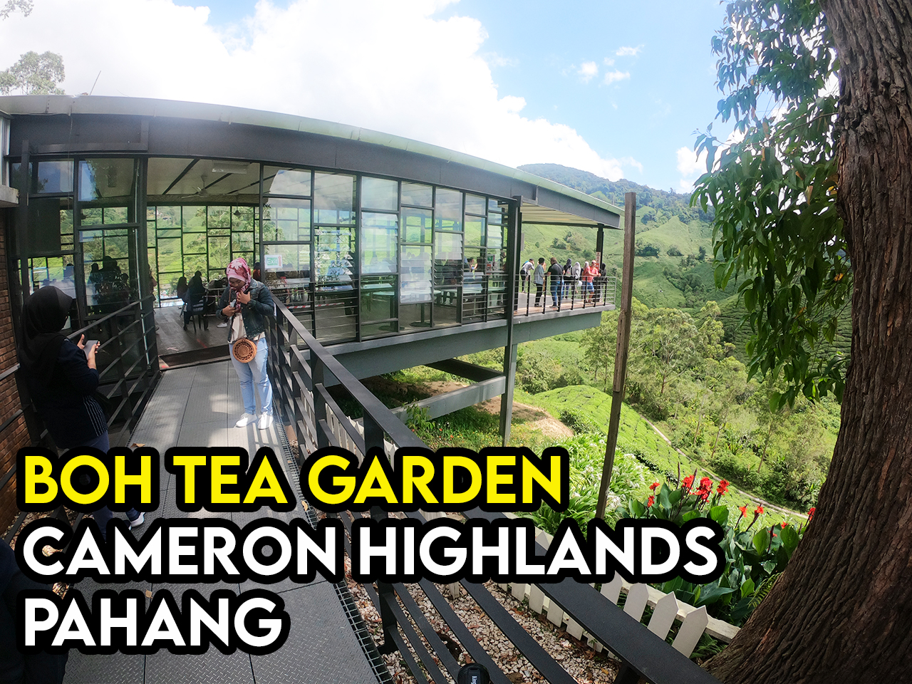 Aktiviti dan Tarikan Di Boh Tea Garden Cameron Highland Pahang