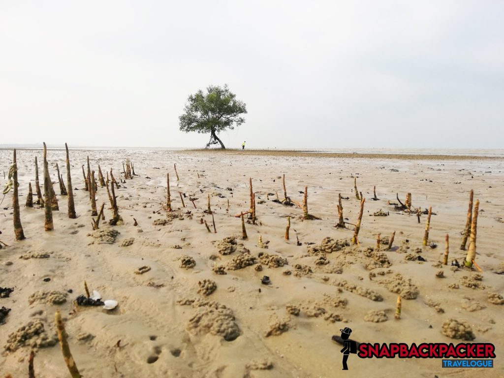 pantai kelanang surut
