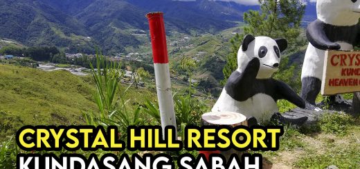 A crystall hill resort panda mascott with the mount kinabalu view in background