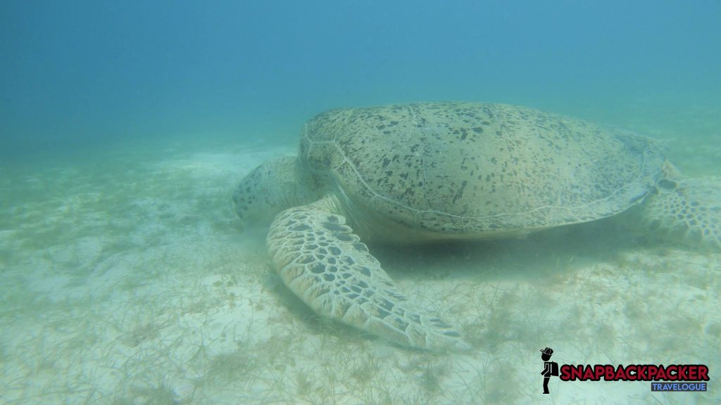 pentu perhentian island