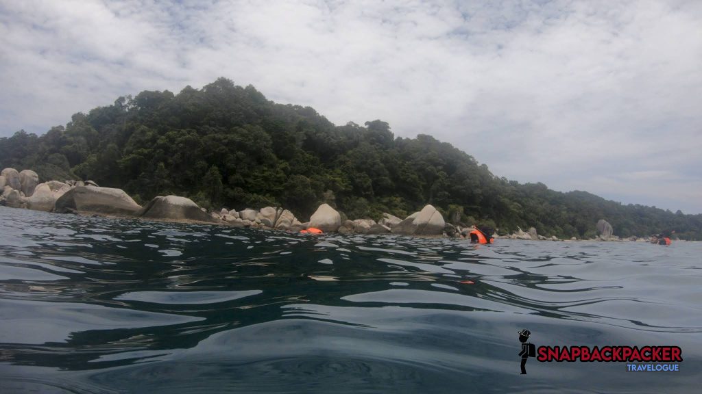 shark point snorkeling