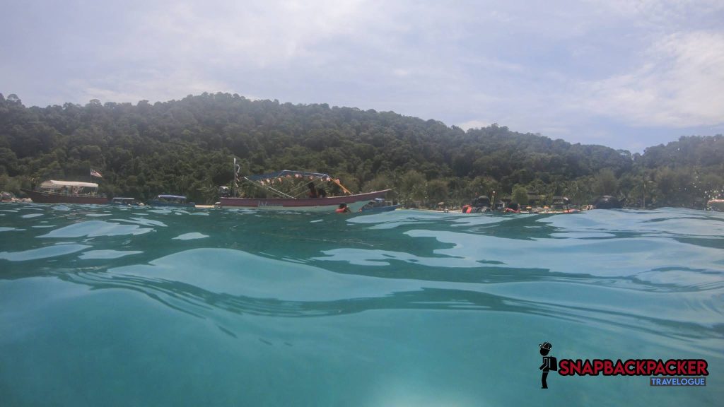 turtle point snorkeling