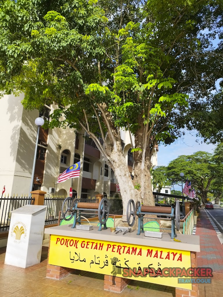 Pokok 20Getah 20Pertama 20Malaya 20Kuala 20Kangsar 1