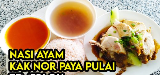 nasi ayam kak nor paya pulai temerloh
