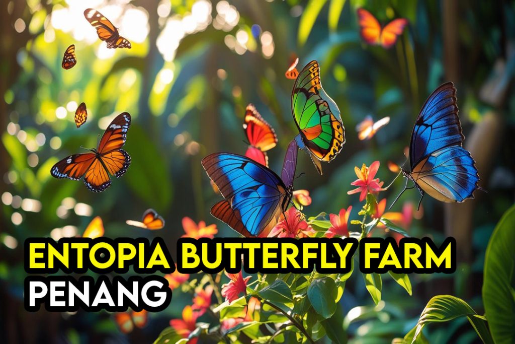 Entopia by Penang Butterfly Farm