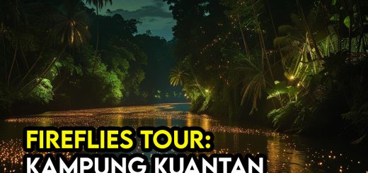 Kampung Kuantan di Selangor – Keindahan Fireflies Pada Malam 4 Keindahan Fireflies Pada Malam