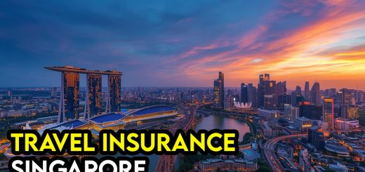 travel insurance for visiting singapore