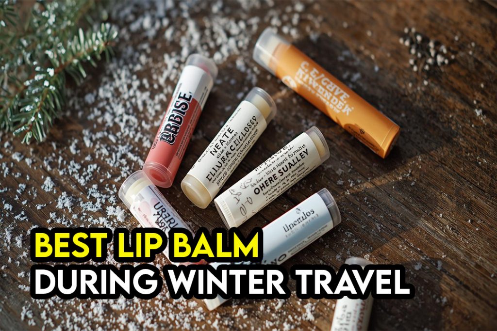 Best Lip Balms for Winter