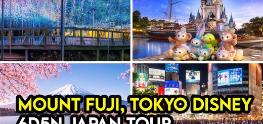 Tokyo, Mount Fuji, Karuizawa & Tokyo Disney Resort – Berbaloi Atau Tidak
