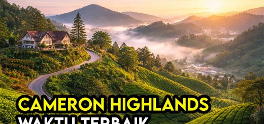 Best Time Ke Cameron Highlands (2026) – Cuaca, Crowd & Harga Paling Berbaloi