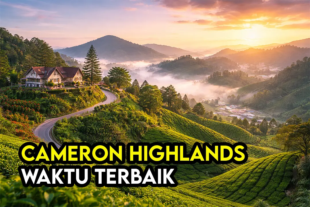Best Time Ke Cameron Highlands (2026) – Cuaca, Crowd & Harga Paling Berbaloi