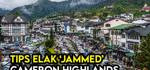 Parking & Traffic Cameron Highlands (Waktu Peak): Panduan Elak Jem & Cari Parking Mudah