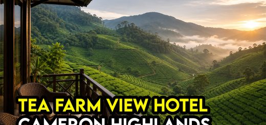 Hotel View Ladang Teh Cameron Highlands (Best Untuk Healing)