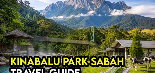 Kinabalu Park, Poring Hot Springs & Desa Farm Tour Sabah