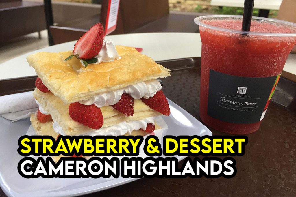 Dessert & Strawberry Spot Wajib Try di Cameron Highlands 1 Dessert Strawberry Spot Wajib Try di Cameron Highlands