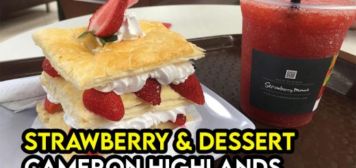 Dessert & Strawberry Spot Wajib Try di Cameron Highlands
